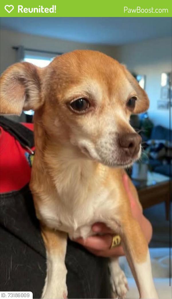 Reunited Unknown Dog last seen Turnagain neighborhood, Anchorage, AK 99517