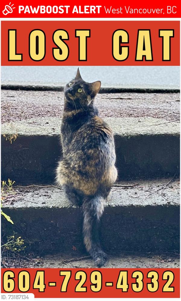 Lost Female Cat last seen Inglewood and 3rd, West Vancouver, BC 