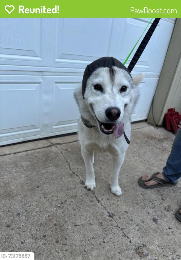 Reunited Male Dog last seen SE Regner Road and Se Butler Road, Gresham, OR 97080