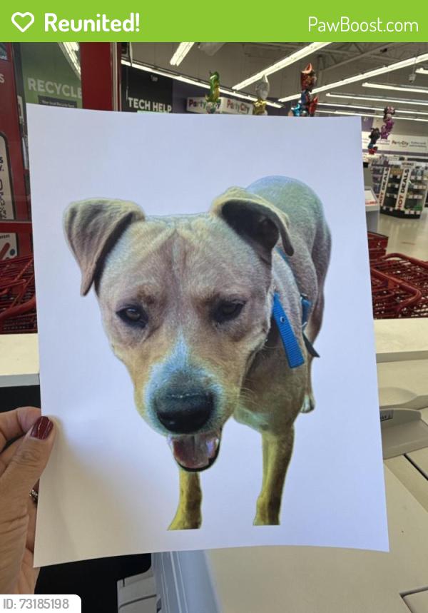 Reunited Male Dog last seen Lucky 6 truck trail, San Diego County, CA 91935