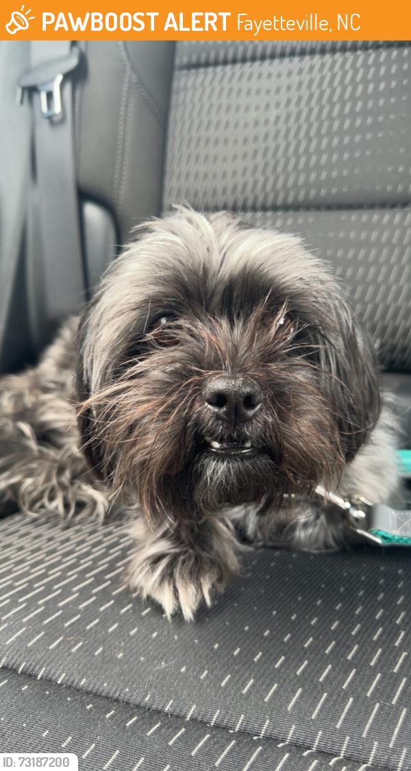 Found/Stray Male Dog last seen Copenhagen and eastwood, Fayetteville, NC 28301
