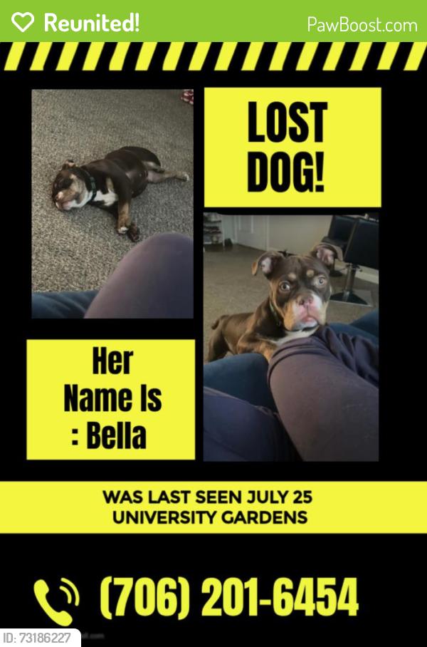 Reunited Female Dog last seen Baxter St, Fortson Dr, Dudley Dr, by kroger's fuel station, Athens, GA 30605