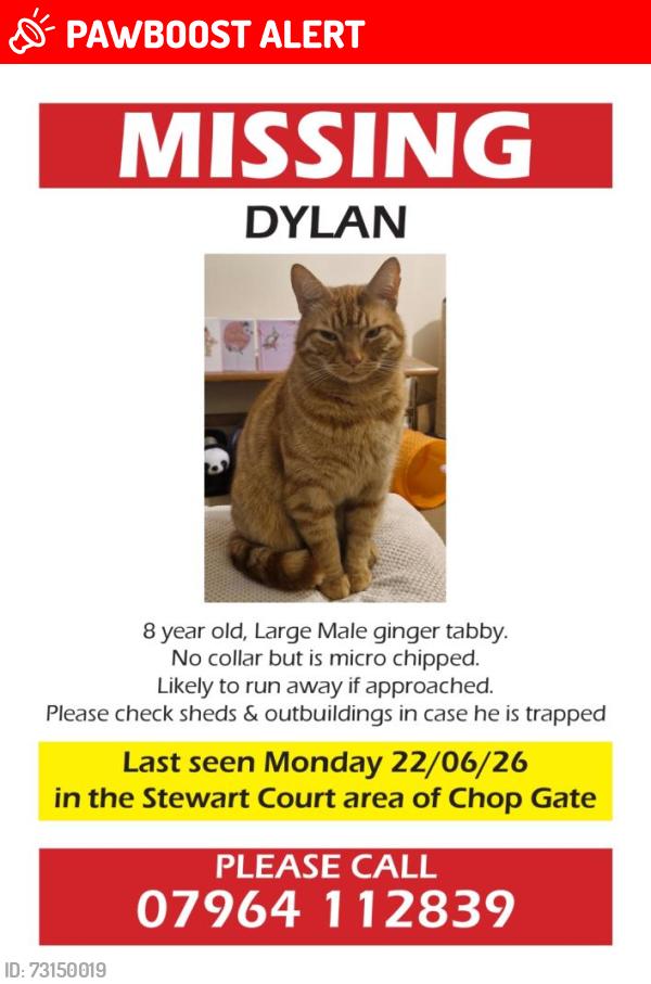 Lost Male Cat last seen Stewart Court area of Chop Gate, North York Moors, TS97JZ TS97JZ, Chop Gate, England TS9 7JL