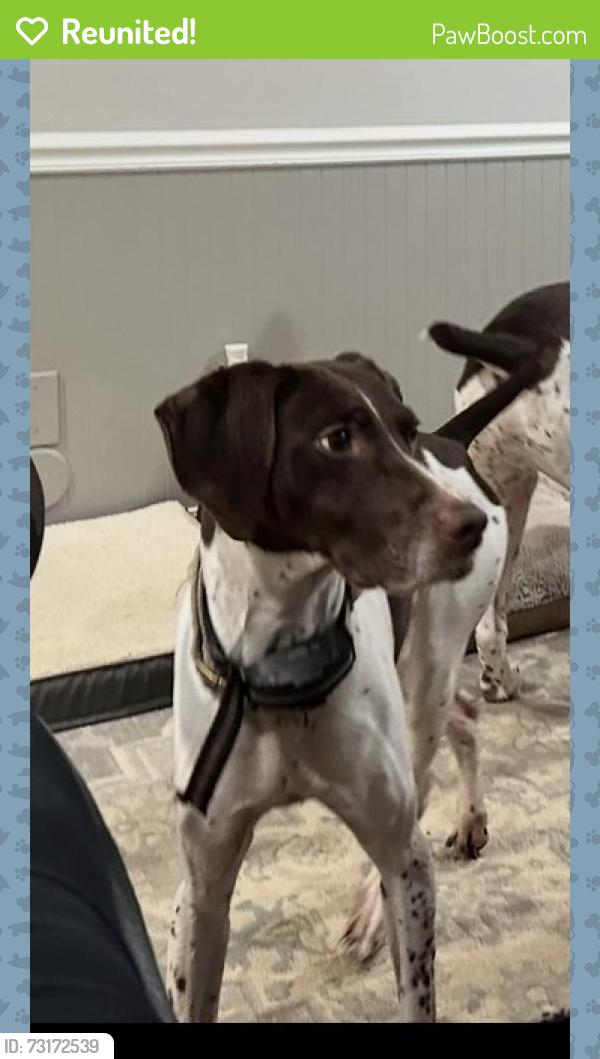 Reunited Female Dog last seen Faucette Farms Rd and Turner Smith Rd, Browns Summit, NC 27214