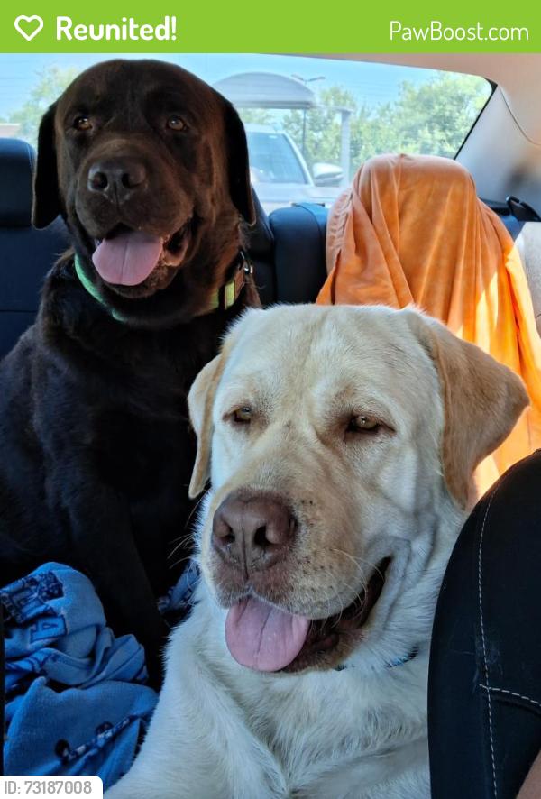 Reunited Male Dog last seen Hills Neck Rd/Aurora Rd, Ernul, NC 28527