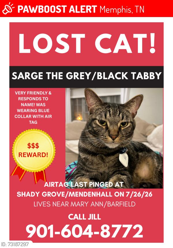 Lost Male Cat last seen AirTag pinged at Shady Grove/Mendenhall, Memphis, TN 38117
