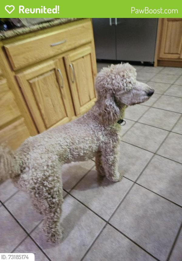 Reunited Male Dog last seen Just west of Hampton Road entrance to Fountainhead Park., Fairfax Station, VA 22039
