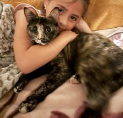 Lost Female Cat last seen 2nd and Madrona, Chula Vista, CA 91910