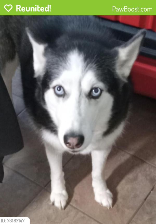 Reunited Female Dog last seen Near Concord Drive mansfield tx, Mansfield, TX 76063