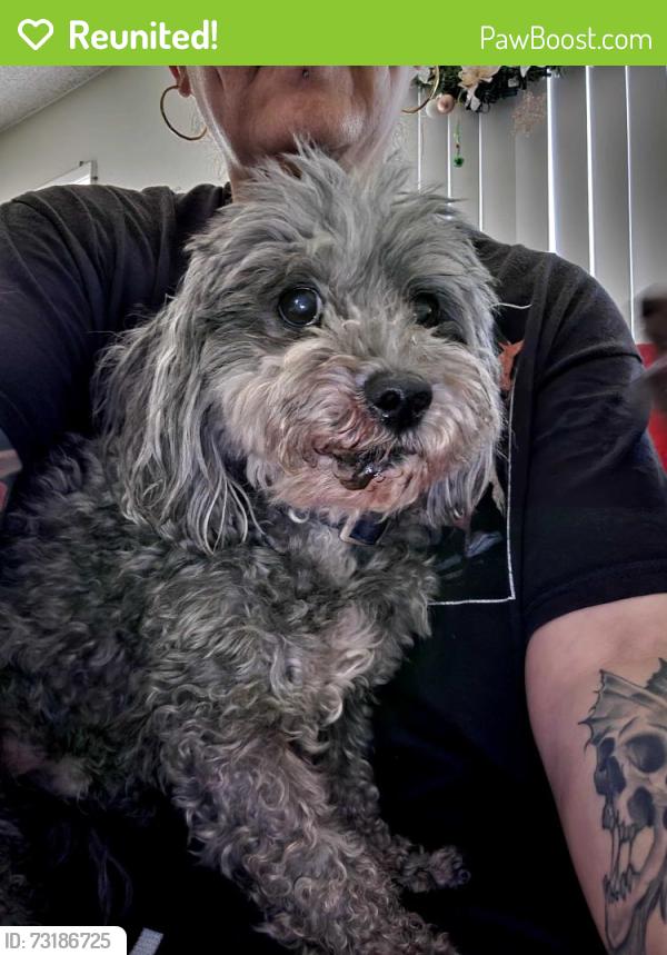 Reunited Male Dog last seen E. Ave K, Lancaster, CA 93535