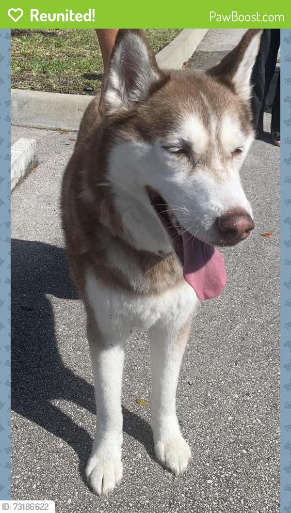 Reunited Unknown Dog last seen port saint lucie, Port St. Lucie, FL 34986