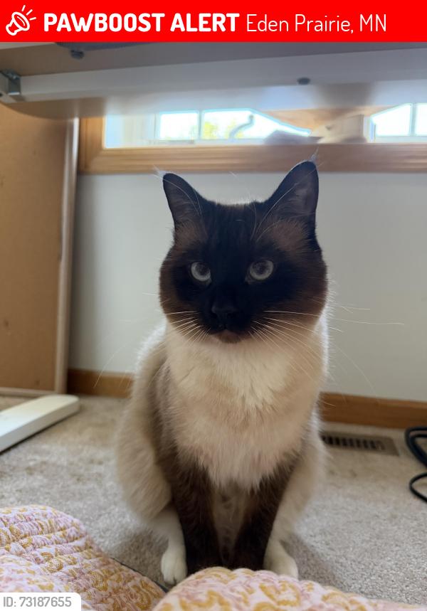 Lost Male Cat last seen Porchlight Ln, Prospect RD, Eden Prairie, MN 55347