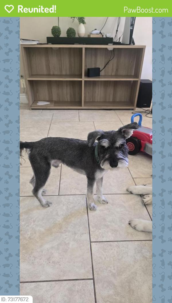 Reunited Male Dog last seen Parkridge and Tesoro street, Corona, CA 92879