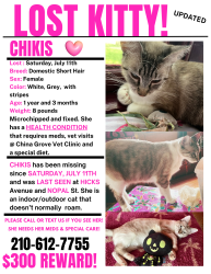 Lost Female Cat last seen Hicks Avenue and Nopal St., San Antonio, TX 78210
