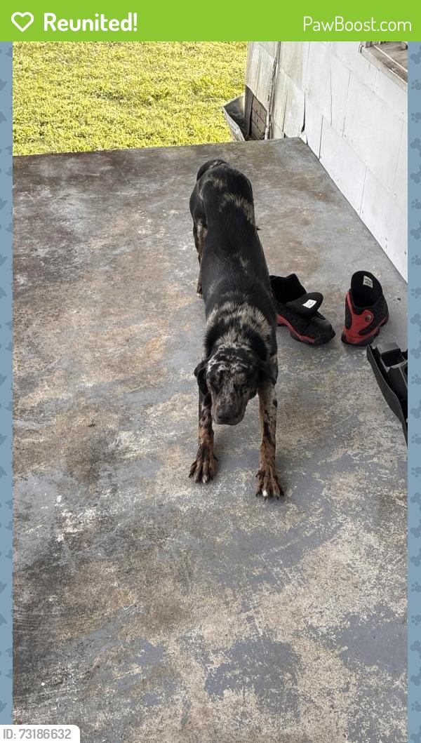 Reunited Unknown Dog last seen Near dover Fort Barnwell Road dover NC 28526, Dover, NC 28526