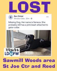 Lost Female Dog last seen Sawmill Woods and Bethlehem Woods Rehab, Fort Wayne, IN 46835
