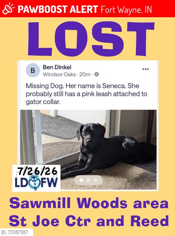Lost Female Dog last seen Sawmill Woods and Bethlehem Woods Rehab, Fort Wayne, IN 46835