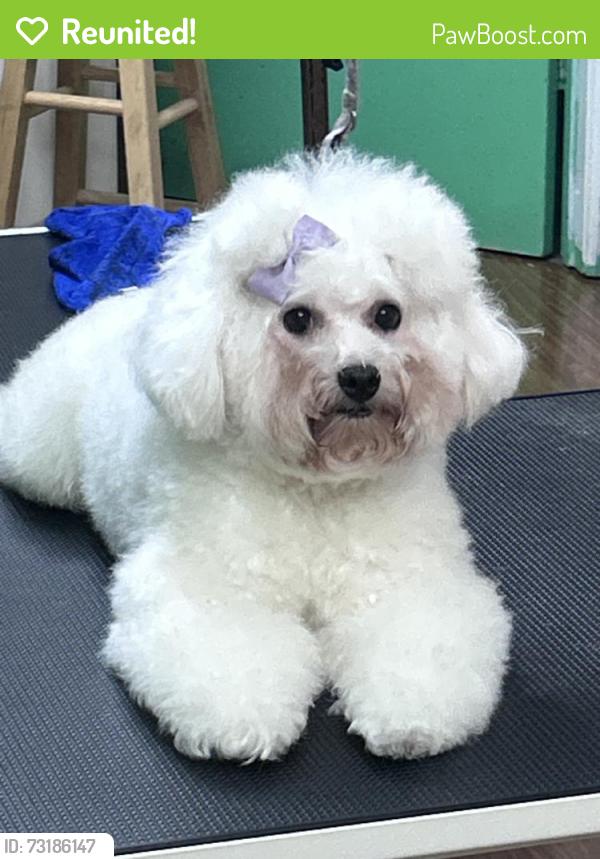 Reunited Male Dog last seen Near 11th Ave, Hesperia, CA 92345, USA, Hesperia, CA 92345
