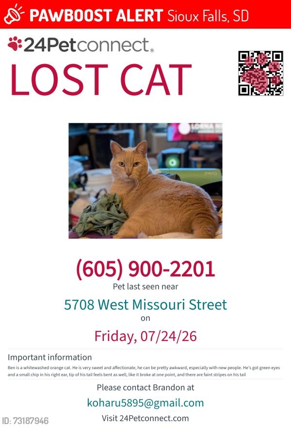 Lost Male Cat last seen Behind thirsty duck, Sioux Falls, SD 57106
