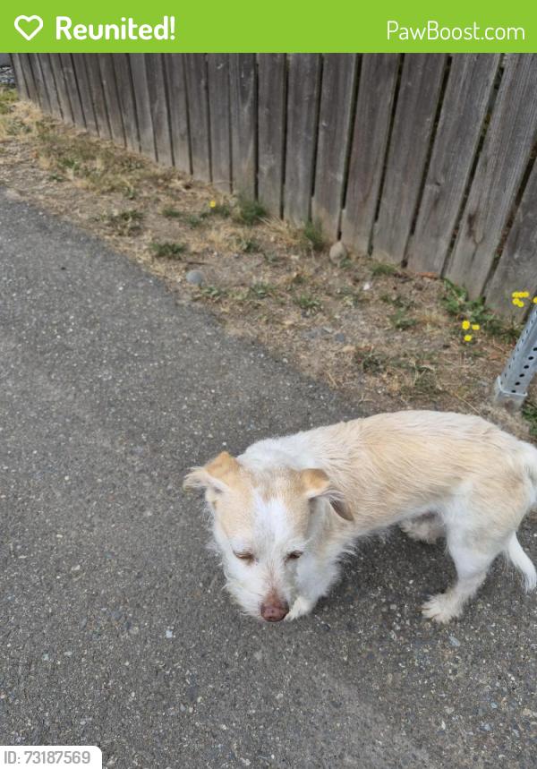 Reunited Male Dog last seen North Road, lynnwood high-school, Martha Lake, WA 98087