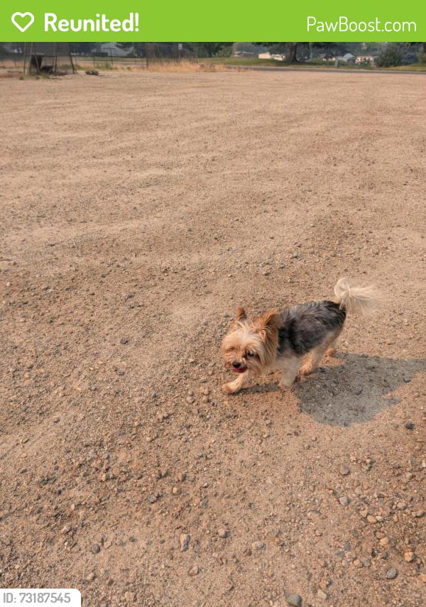 Reunited Unknown Dog last seen Off Cloverdale near HP campus, Boise, ID 83713