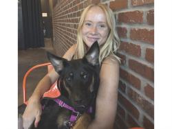 Shelter Stray Male Dog last seen N 67TH AVE/W BUTLER AVE, 5501 E Van Buren St, Phoenix, AZ 85008, USA