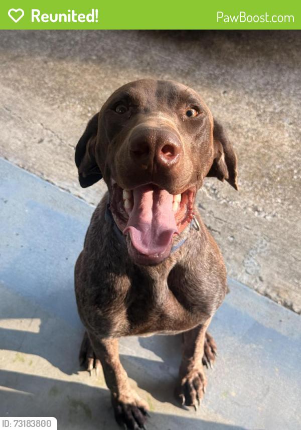 Reunited Male Dog last seen Millrun & Loop 7, Athens, TX 75751
