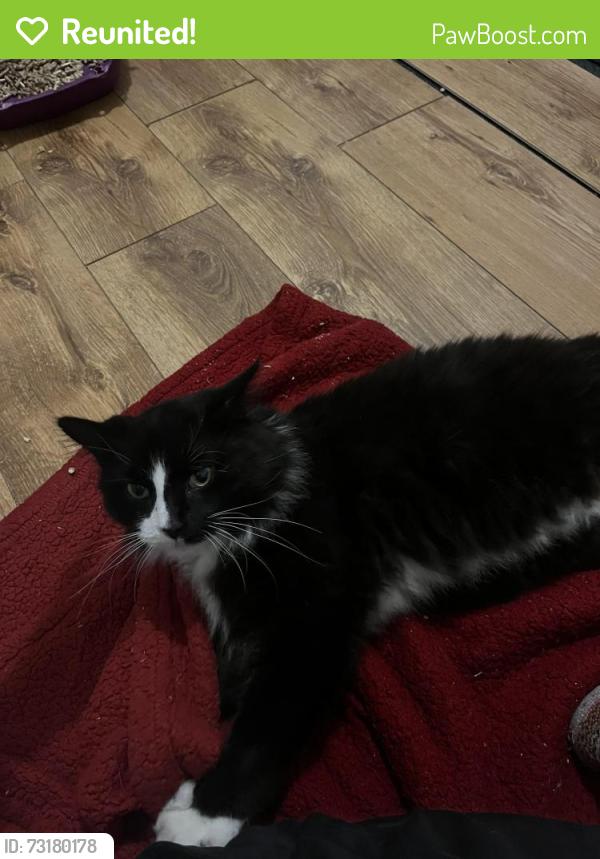 Reunited Unknown Cat last seen Soho Benson Road Metro Station, West Midlands, England B18 5TS
