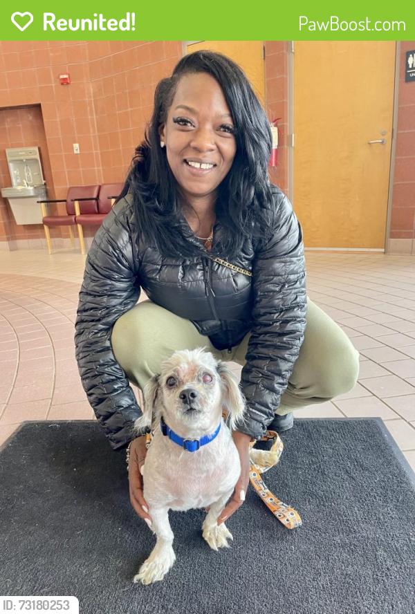 Reunited Male Dog last seen Near, Cleveland, OH 44103