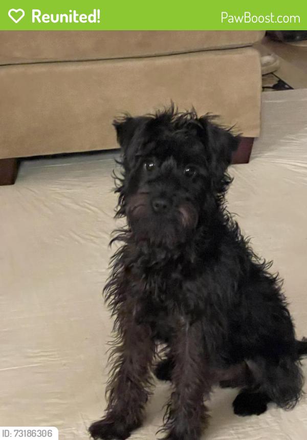 Reunited Male Dog last seen Liberty Road & Stokes Ferry Road, Gold Hill, NC 28071