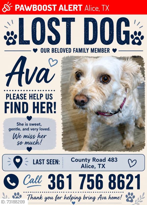 Lost Female Dog last seen Hwy 281, Alice, TX 78332