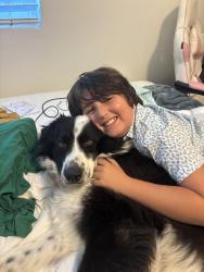 Lost Male Dog last seen Country club drive, Escondido, CA 92029