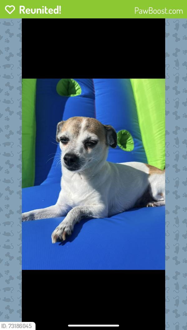Reunited Female Dog last seen 47th street W and j8 area, Lancaster, CA 93536