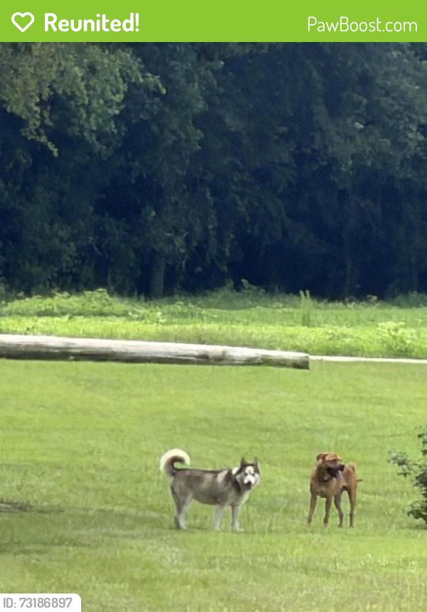 Reunited Unknown Dog last seen End of Fred court, Wilson County, NC 27893