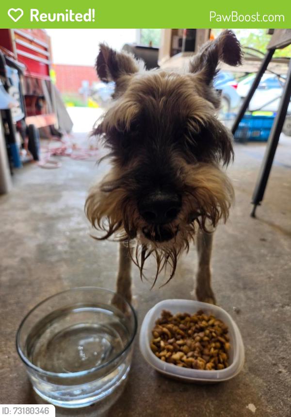 Reunited Male Dog last seen Westlake Subdivision, Conroe, TX 77304