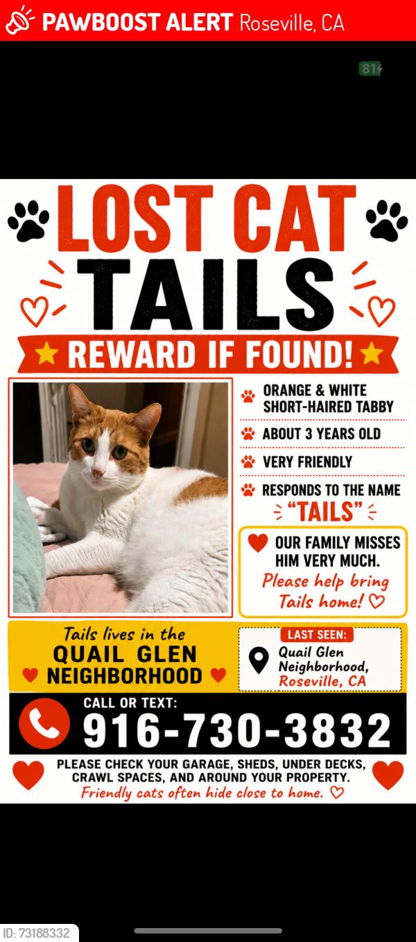Lost Male Cat last seen Steinbeck Dr, Michener Dr, Raley’s., Roseville, CA 95747