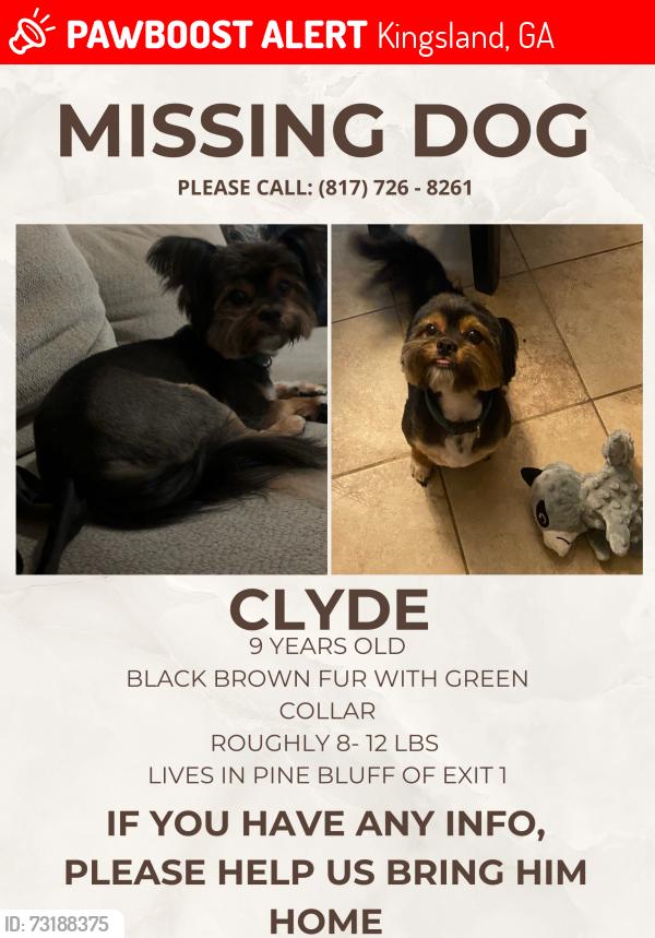 Lost Male Dog last seen Near Pine Bluff Blvd Kingsland Ga 31548, Kingsland, GA 31548