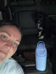 Reunited Male Dog last seen Big woods rd, Spring Hope, NC 27882