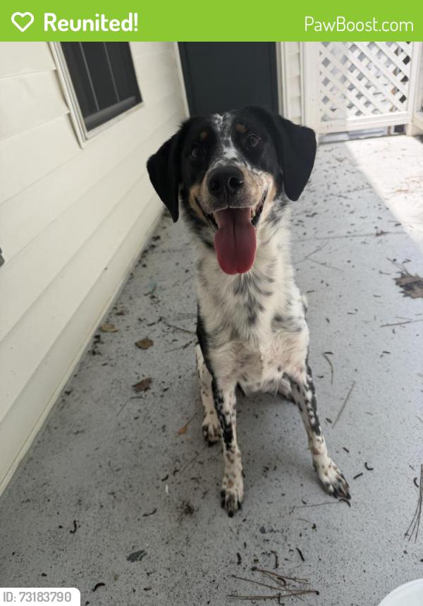 Reunited Male Dog last seen Dunwoody Ridge apmts, Sandy Springs, GA 30346
