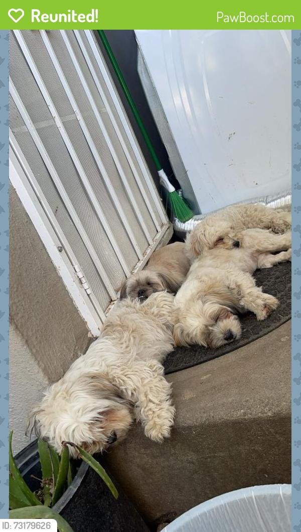 Reunited Female Dog last seen Beecher & HIghway 26, Stockton, CA 95215