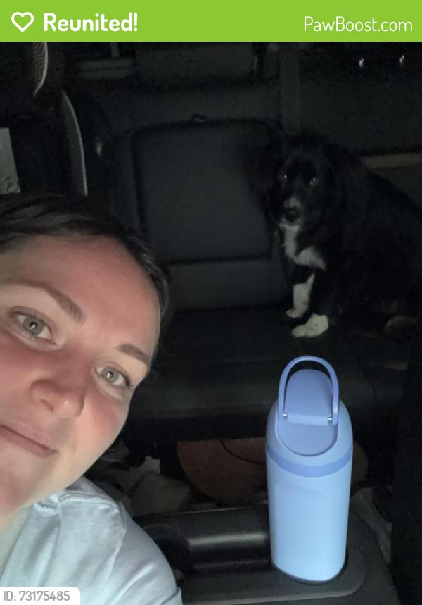 Reunited Male Dog last seen Big woods rd, Spring Hope, NC 27882
