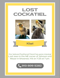 Lost Male Bird last seen Johnson Drive and Mauer, Shawnee, KS 66217