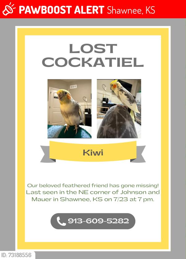 Lost Male Bird last seen Johnson Drive and Mauer, Shawnee, KS 66217