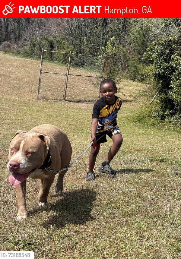 Lost Male Dog last seen Panhandle. Sawmill rd, Hampton, GA 30228