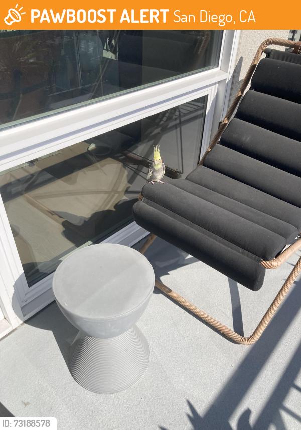 Found/Stray Unknown Bird last seen Noble, San Diego, CA 92122