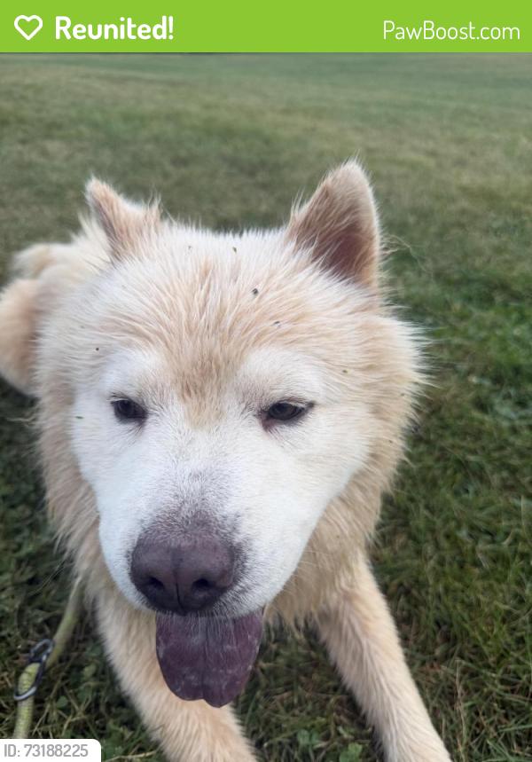 Reunited Male Dog last seen Fergus dog park, Centre Wellington, ON N1M 0E1