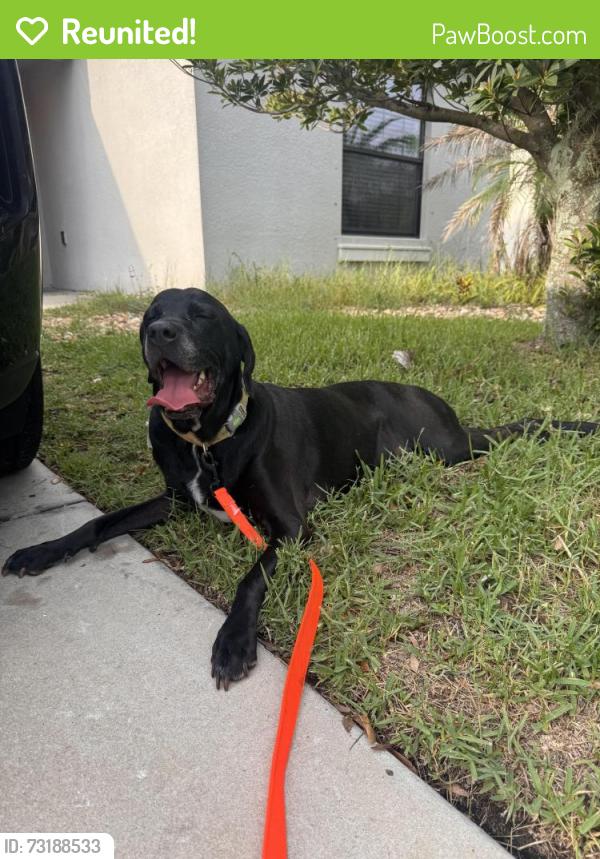 Reunited Male Dog last seen Ayersworth Glenn, Balm, FL 33598