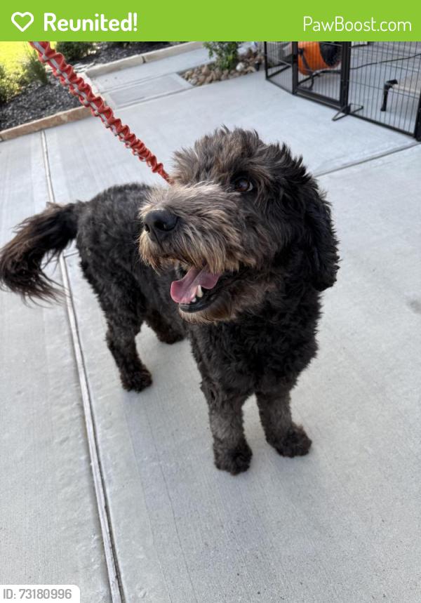 Reunited Unknown Dog last seen Near and Churchill Downs, Mont Belvieu, TX 77523
