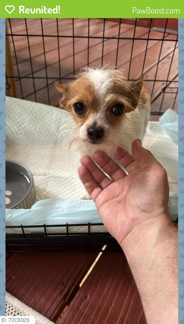Reunited Male Dog last seen Sgoda Rd and I-16, Twiggs County, GA 31020