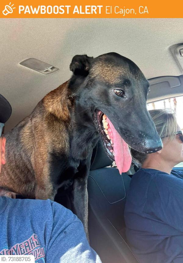 Found/Stray Male Dog last seen Jamacha, El Cajon, CA 92019
